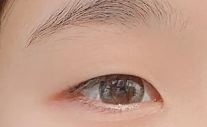 클라렌 아이리스 원데이 [수지그레이]