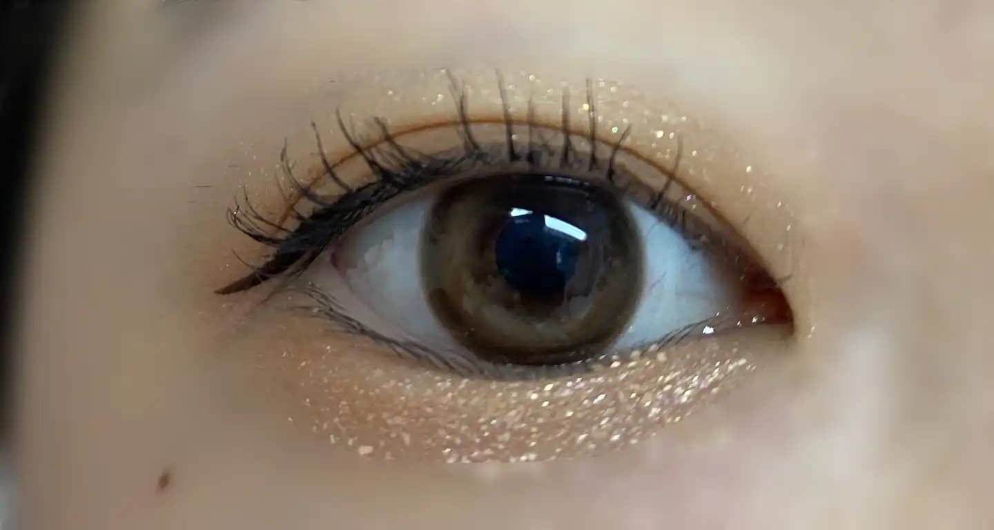 홀리몰리 레이어 팔레트 [데이 애프터 데이]