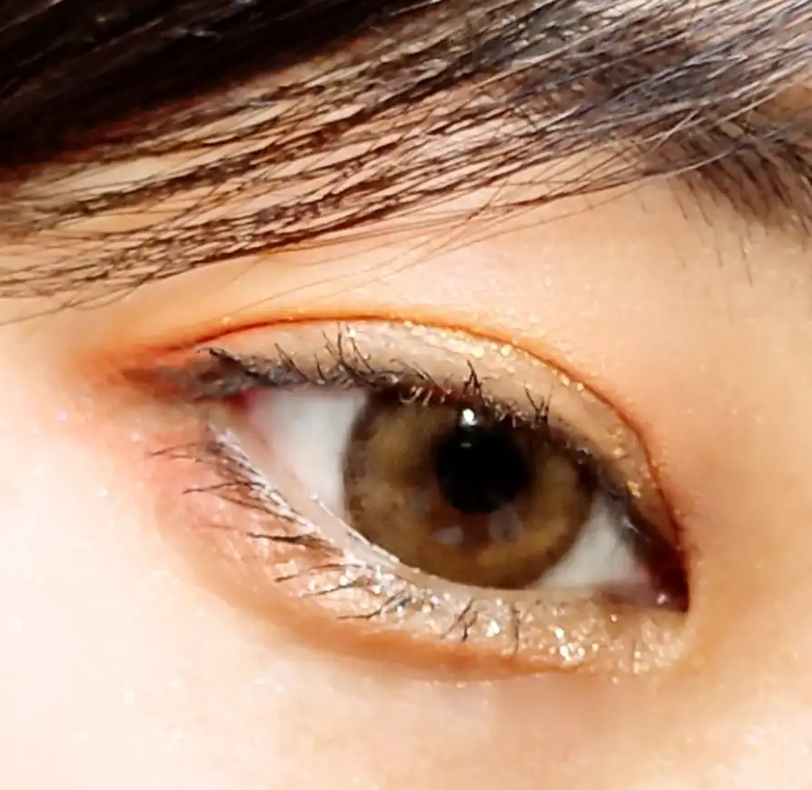 헤이미쉬 [브라운]