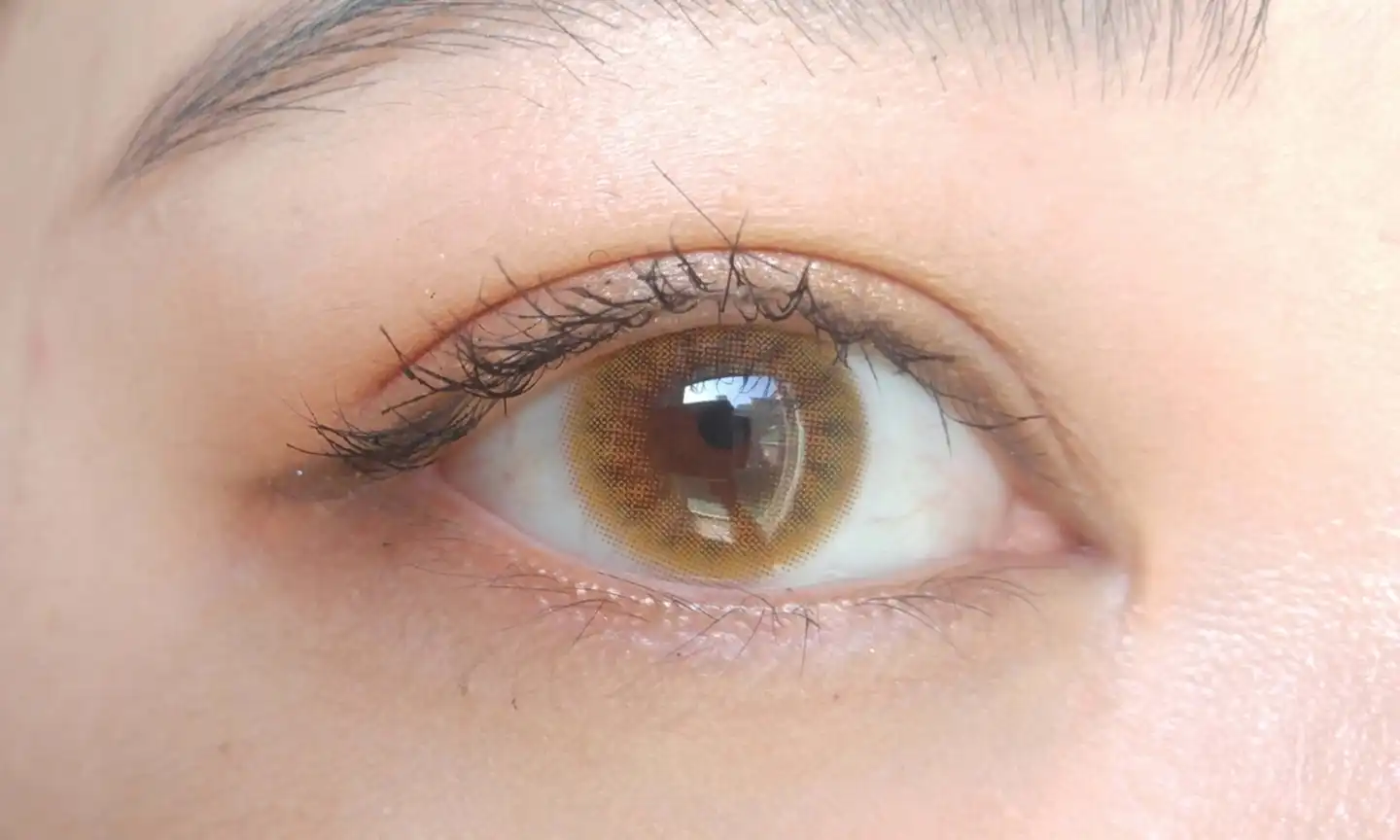 골드베리3콘 [브라운]