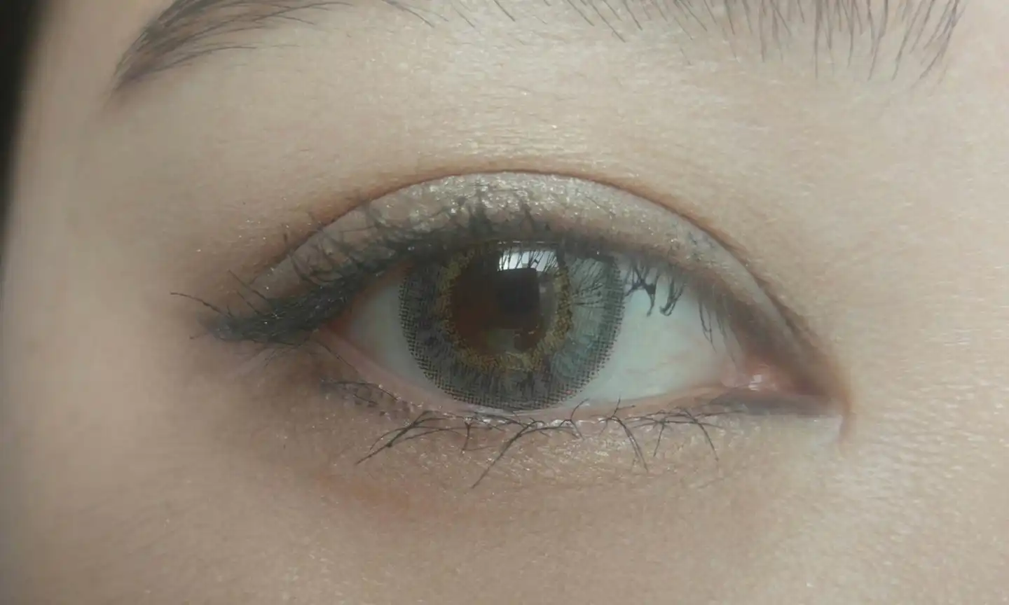 시크리스 3콘 [코랄 그레이]