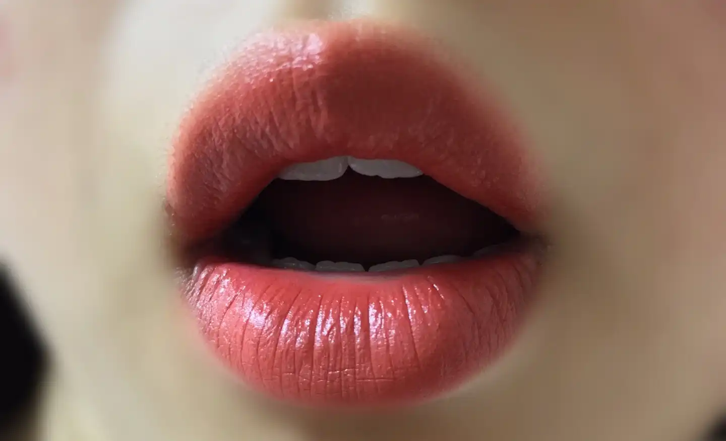 비비드 코튼 잉크 [10호 홍차 브라운 튤립]