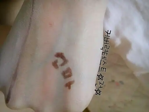 언니의파우치 리뷰 이미지 4 - [님프 광채 볼류머 [1호 순수한 꿀광채]]