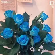 선택된 언니의파우치 리뷰 이미지 - [컨투어 립 컬러 [컨트롤러]]