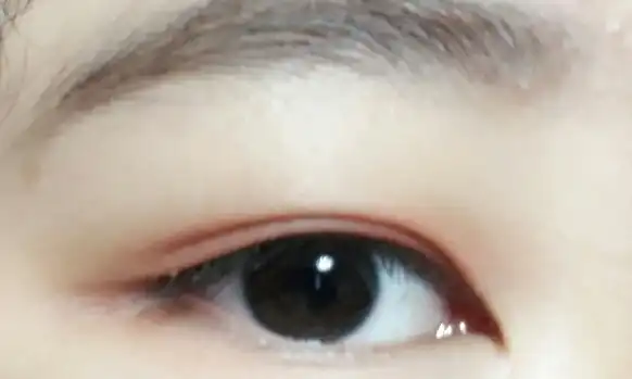 모던 섀도우_음영 [MOR01 라넌큘러스]