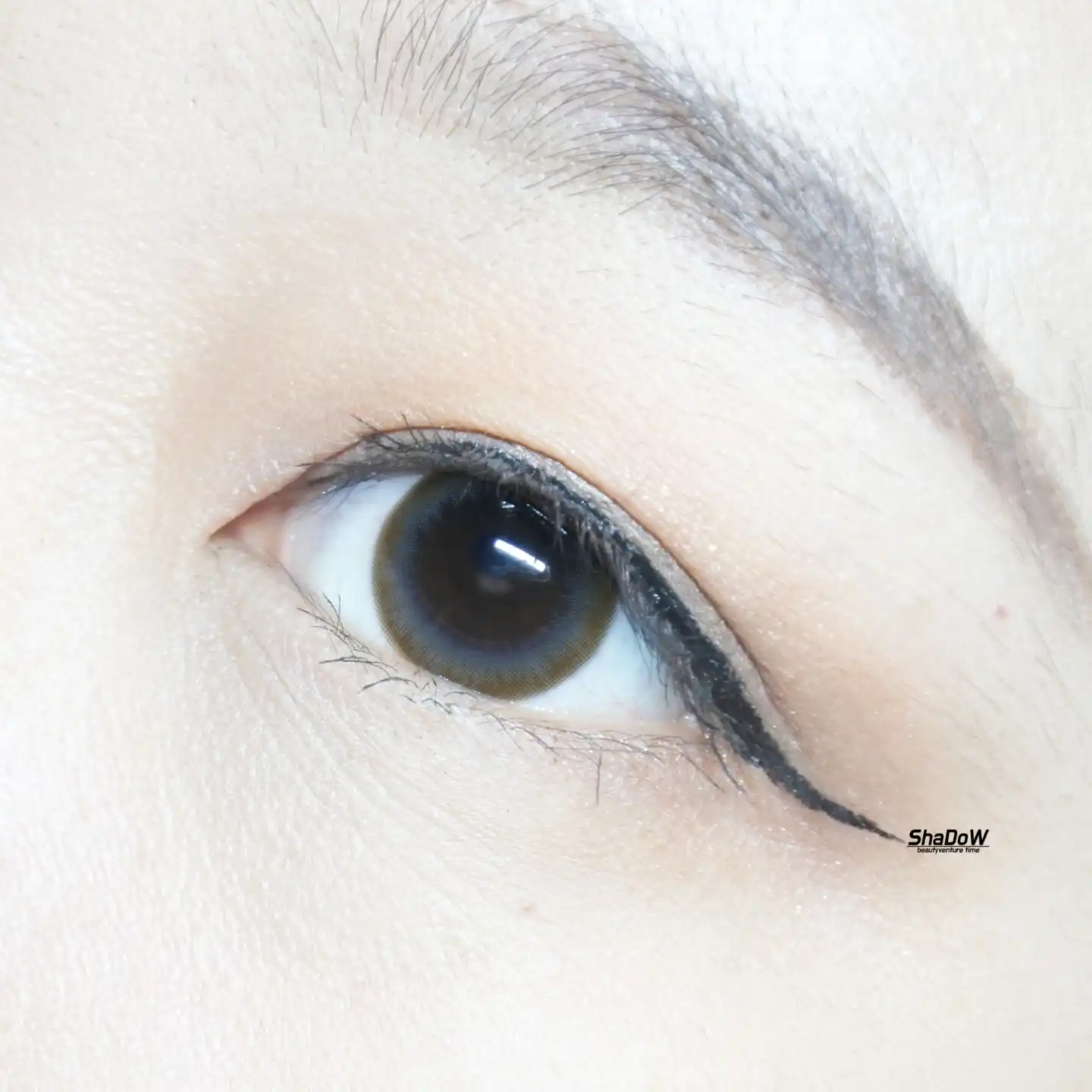 프리메디[베니 그레이]