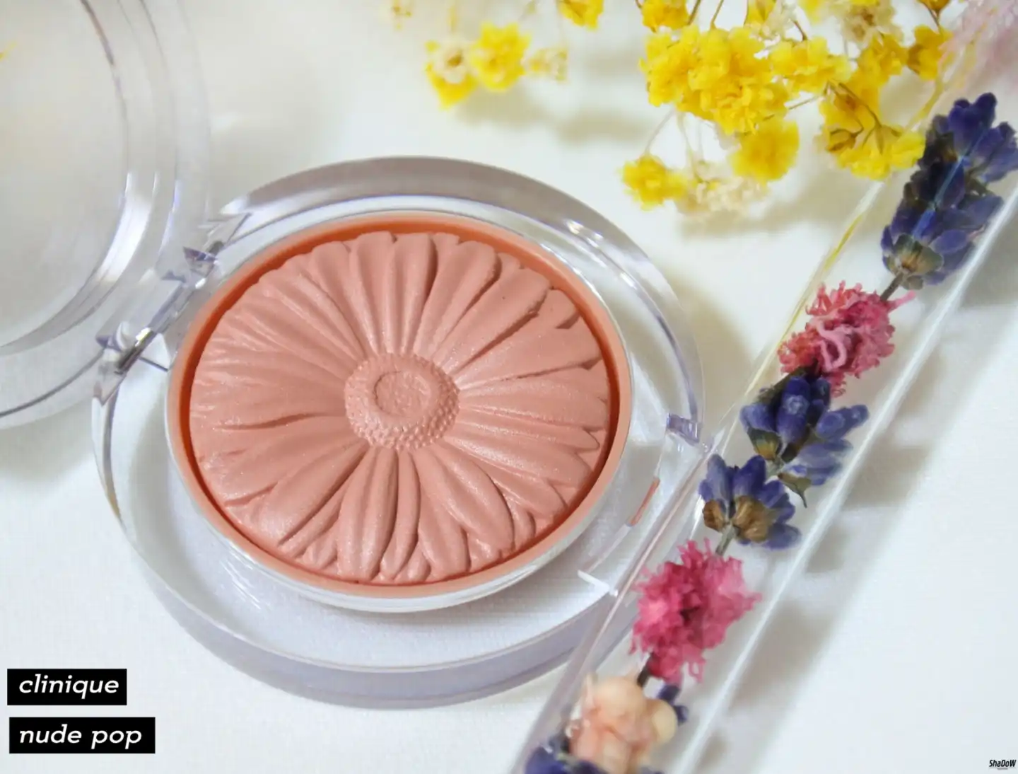 치크 팝 [05 누드 팝]