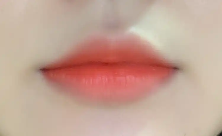 언니의파우치 리뷰 이미지 - [센슈얼 아쿠아 립스틱 [317호 델리케이트 리치]]