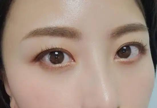 언니의파우치 리뷰 이미지 5 - [페인팅 모노 섀도우 [04 쉘 베이지]]