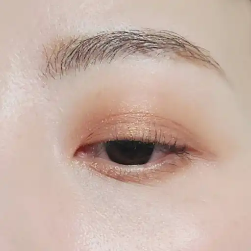 언니의파우치 리뷰 이미지 3 - [페인팅 모노 섀도우 [08 코퍼 러스트]]