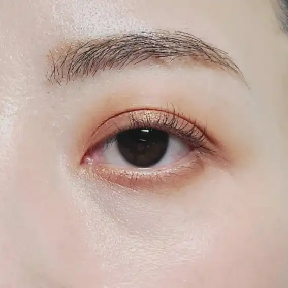언니의파우치 리뷰 이미지 4 - [페인팅 모노 섀도우 [08 코퍼 러스트]]