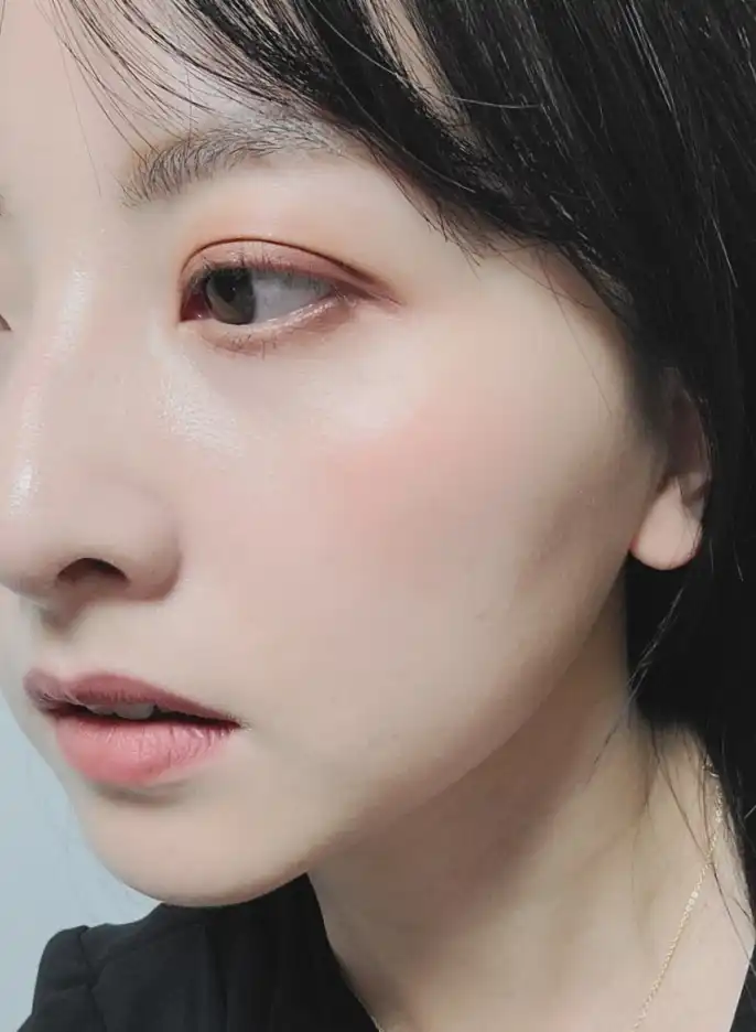 언니의파우치 리뷰 이미지 5 - [페인팅 모노 섀도우 [08 코퍼 러스트]]