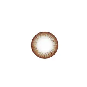 기묘 R [브라운]