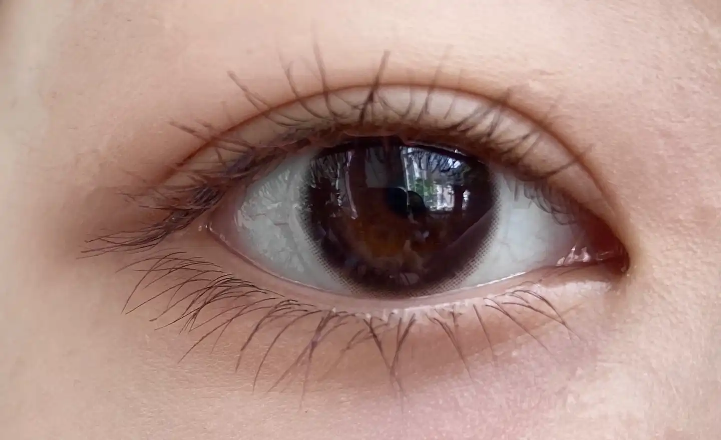 엑스트라 볼륨컬 메탈 마스카라 [브라운]