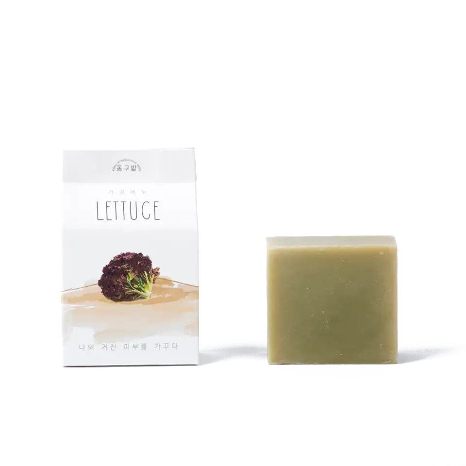 상추 가꿈 LETTUCE