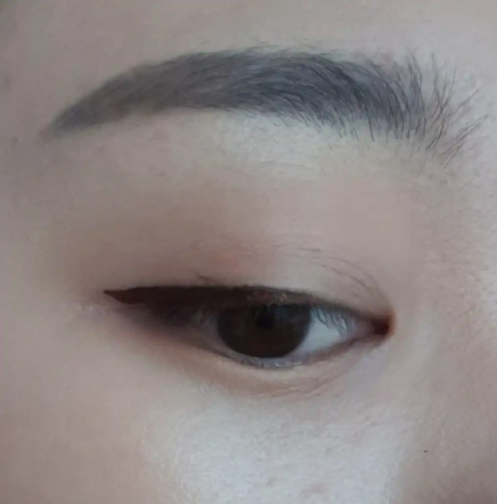 언니의파우치 리뷰 이미지 8 - [철벽 펜 라이너 [P02  딥 브라운]]