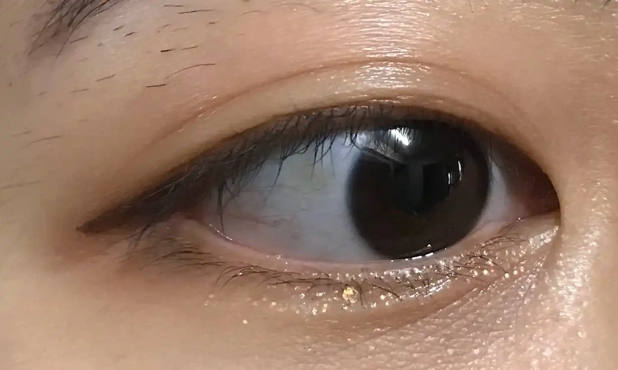 대즐링 아이글리터 [ORT01 NOT-ORANGE]