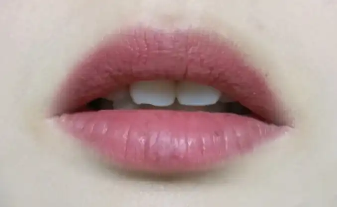 비비드 코튼 잉크 [6호 빛바랜 베이지 튤립]