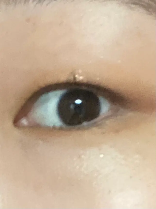 선택된 언니의파우치 리뷰 이미지 - [홀리몰리 레이어 팔레트 [데이 애프터 데이]]