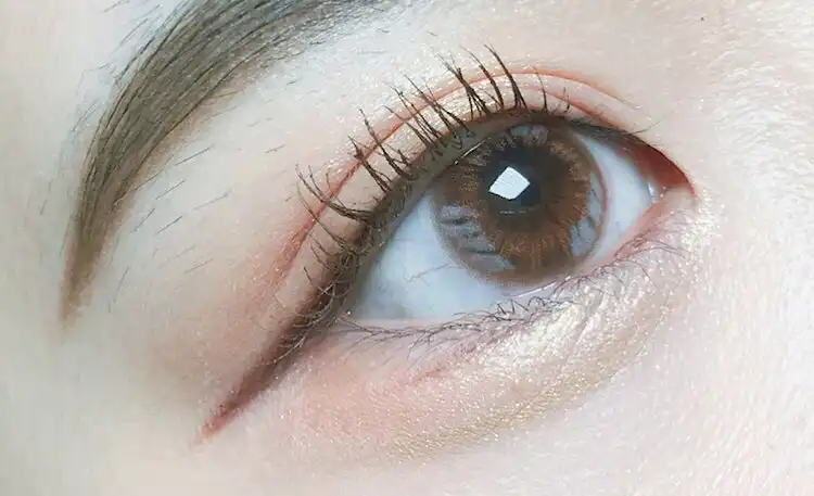 시크릿 티어 [쵸코]