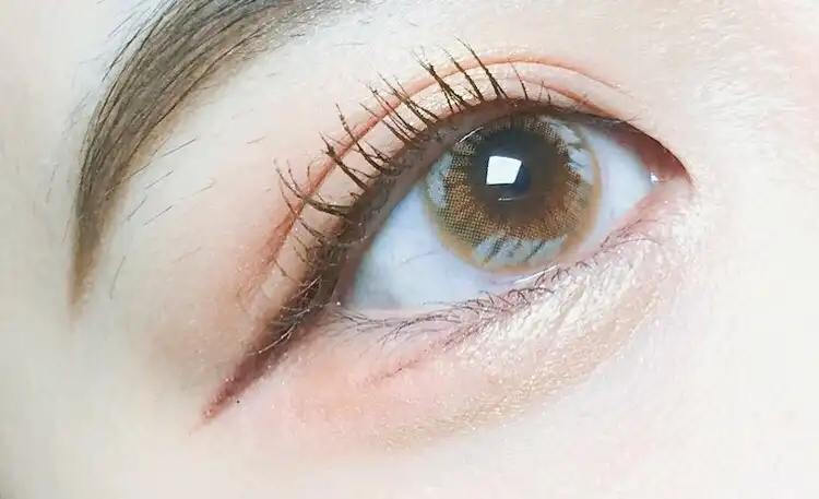 시크릿 티어 [브라운]