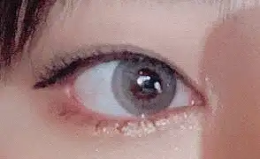 윙키3콘 [쿨그레이]