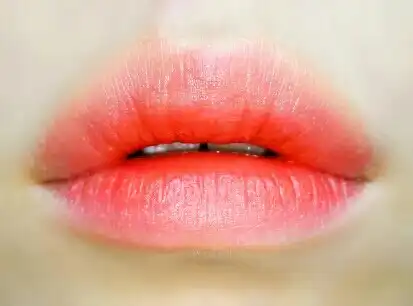 언니의파우치 리뷰 이미지 5 - [비비드 터치 모이스처 립스틱 21호 딥오렌지]