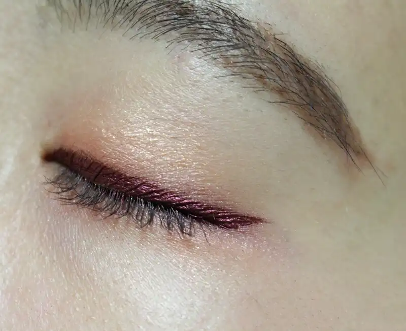 프로데피니션팔레트라이너 [번트플럼]