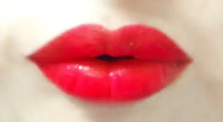 임프레션 립 벨벳 [402 레드가넷]