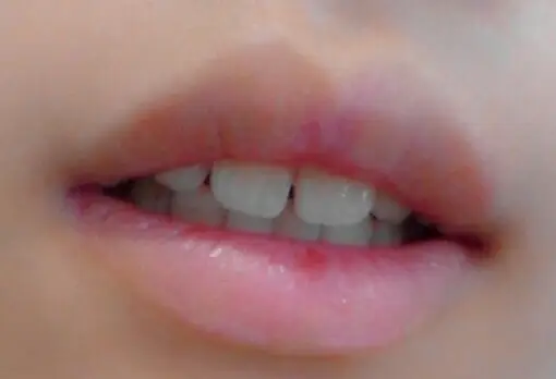 선택된 언니의파우치 리뷰 이미지 - [이니스프리 유채꿀 립 밤 - 각질케어]