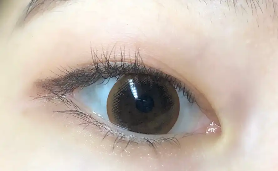 레이셀 [크리스탈 브라운]