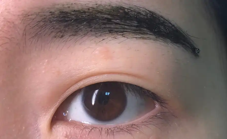 잉크 브로우 타투 젤 [002 브라운]