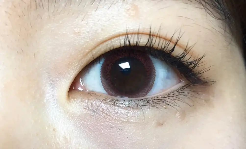 내츄렐 [브라운]