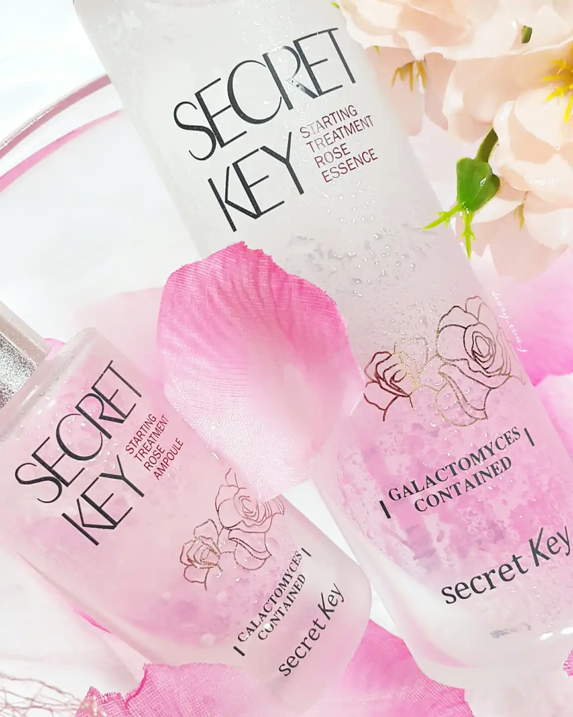 스타팅 트리트먼트 로즈 앰플