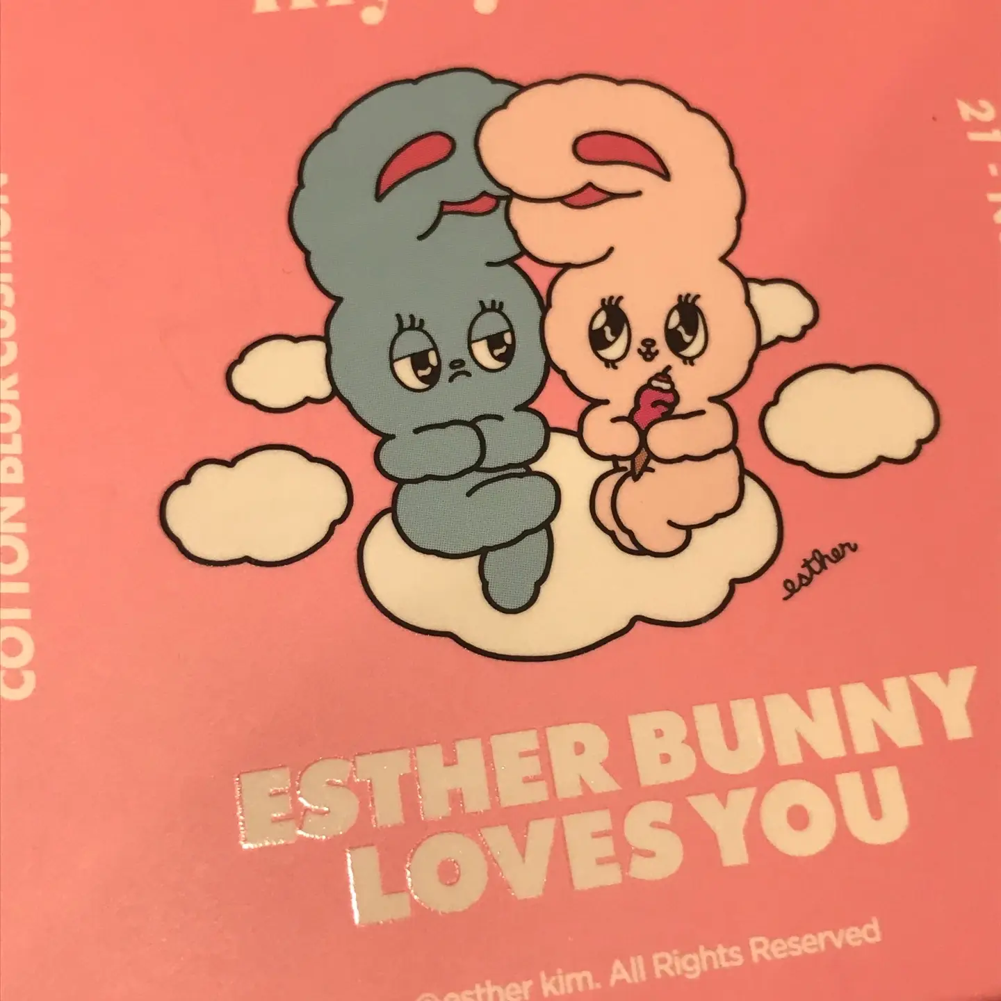 선택된 언니의파우치 리뷰 이미지 - [에스더버니 에디션 코튼 블러 쿠션 [21호 누드코튼]]