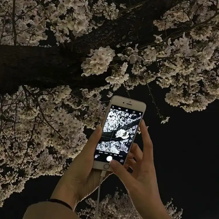 업 앤 다운 트리플 컨투어링 [01 클래식무드]