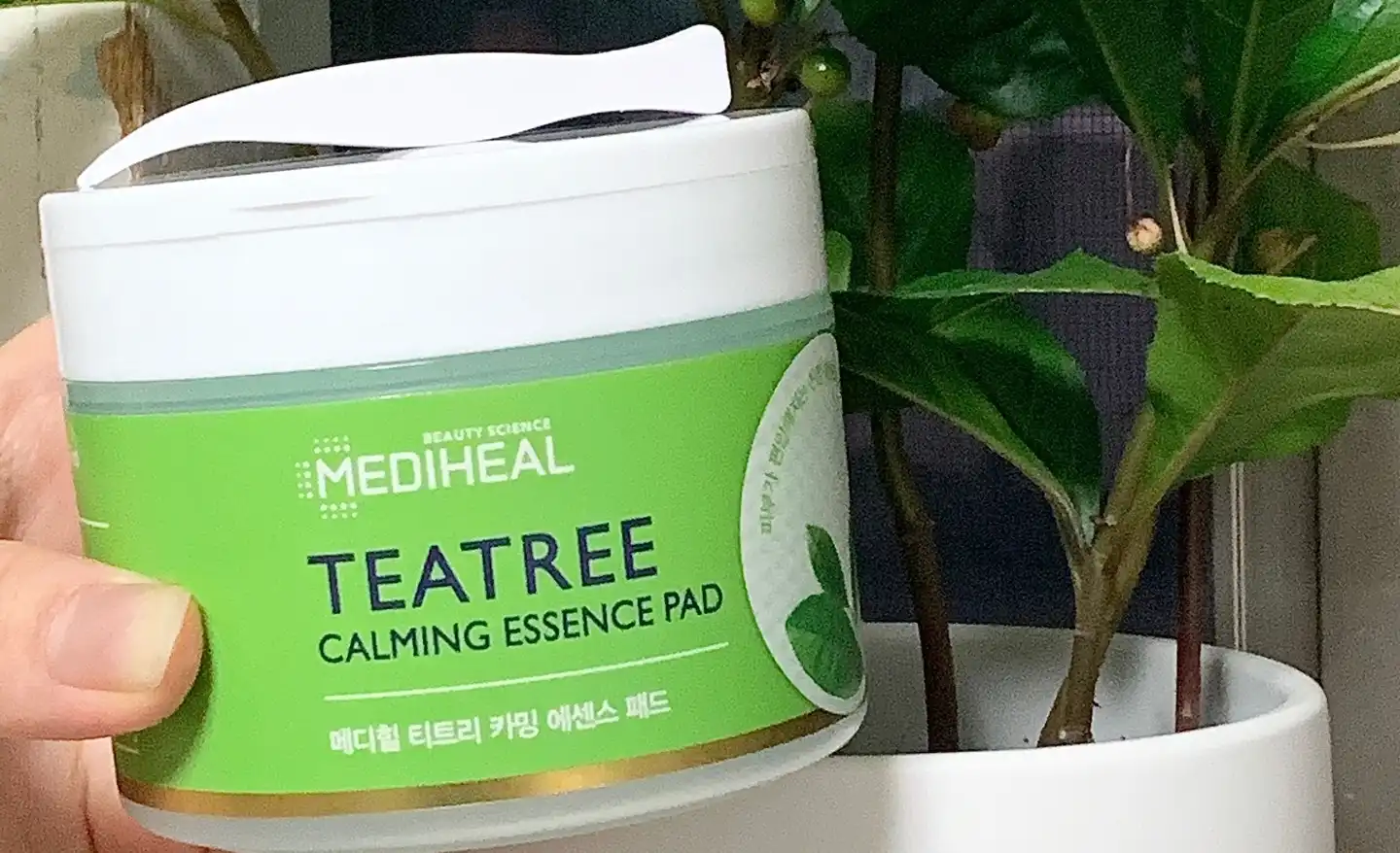 티트리 카밍 에센스 패드