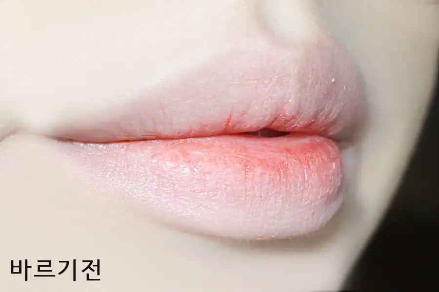 언니의파우치 리뷰 이미지 6 - [앰플리파이드 립스틱 [모란지]]