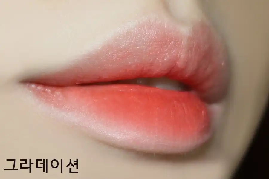 언니의파우치 리뷰 이미지 7 - [앰플리파이드 립스틱 [모란지]]