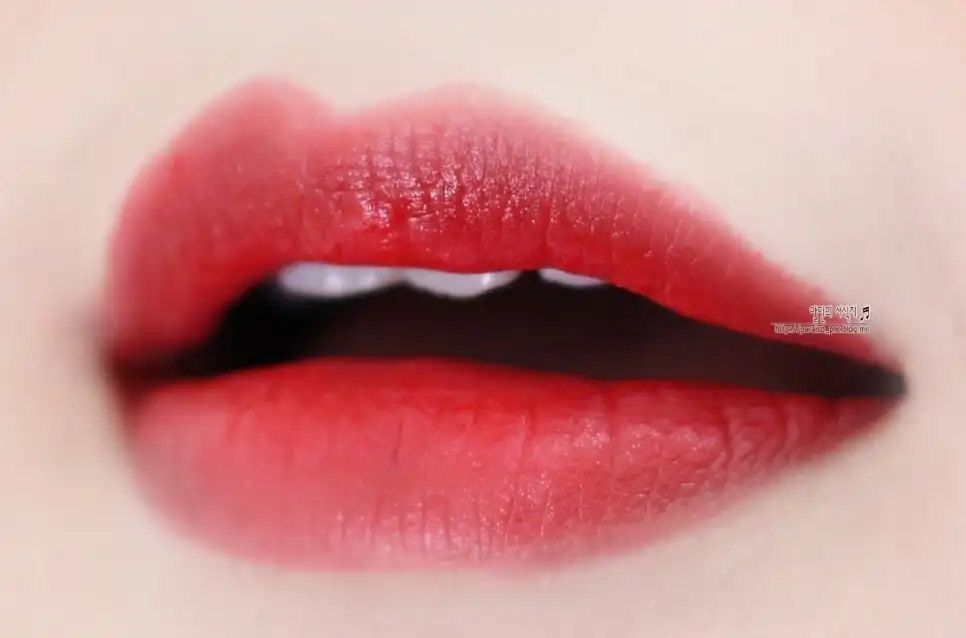 샤또 라비오뜨 와인 립스틱 피팅 [RD02 삐노레드]