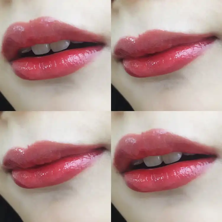 샤인 시크 립라커 [RD 301 로즈코코]