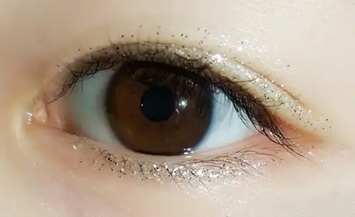 펄렉션 아이글리터 [PE01 흰 눈 오는 밤]