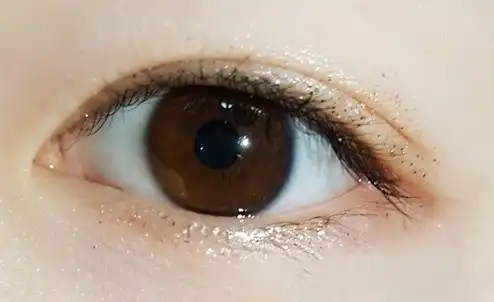 펄렉션 아이글리터 [PE03 오늘밤 별똥별]