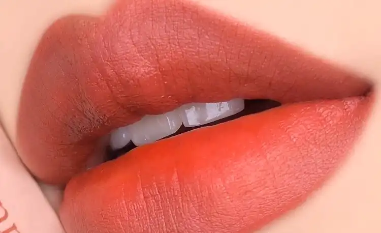 어딕션 벨벳 틴트 [204 프렌치베이지]