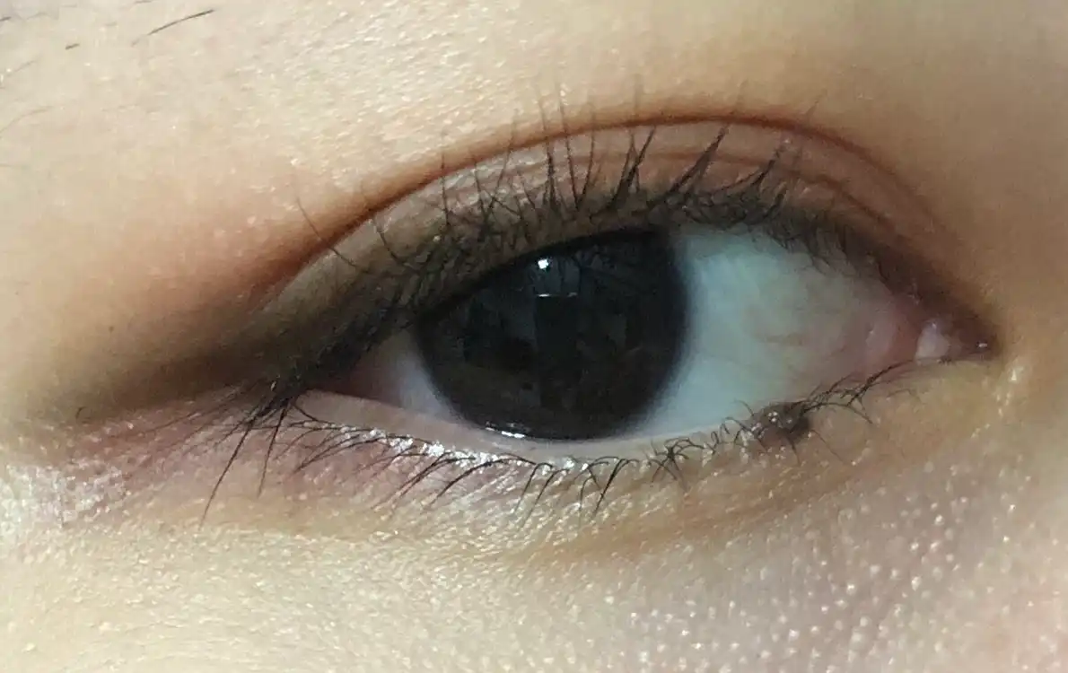 마이팔레트 마이 아이섀도우 매트 [34호 볼 빨간 튤립]