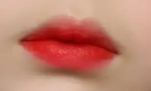 라스트 벨벳 립 틴트 [02생기갑]