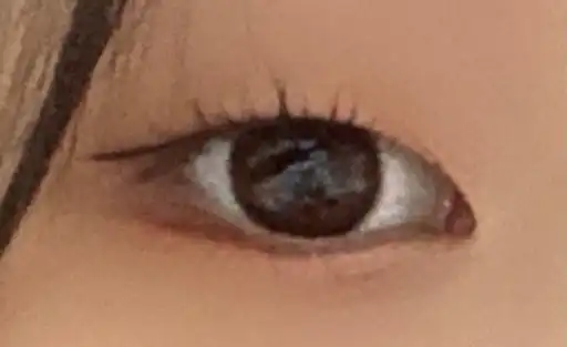 레브 드 파리 아이섀도우 팔레트