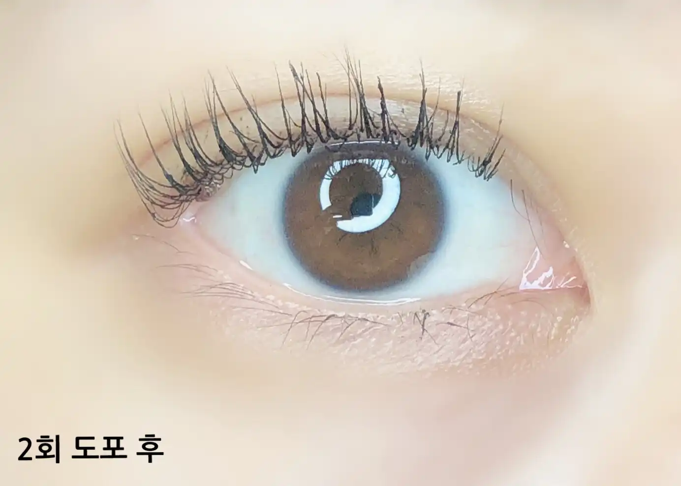 언니의파우치 리뷰 이미지 7 - [더 폴시 래시 리프트 워터프루프 마스카라]