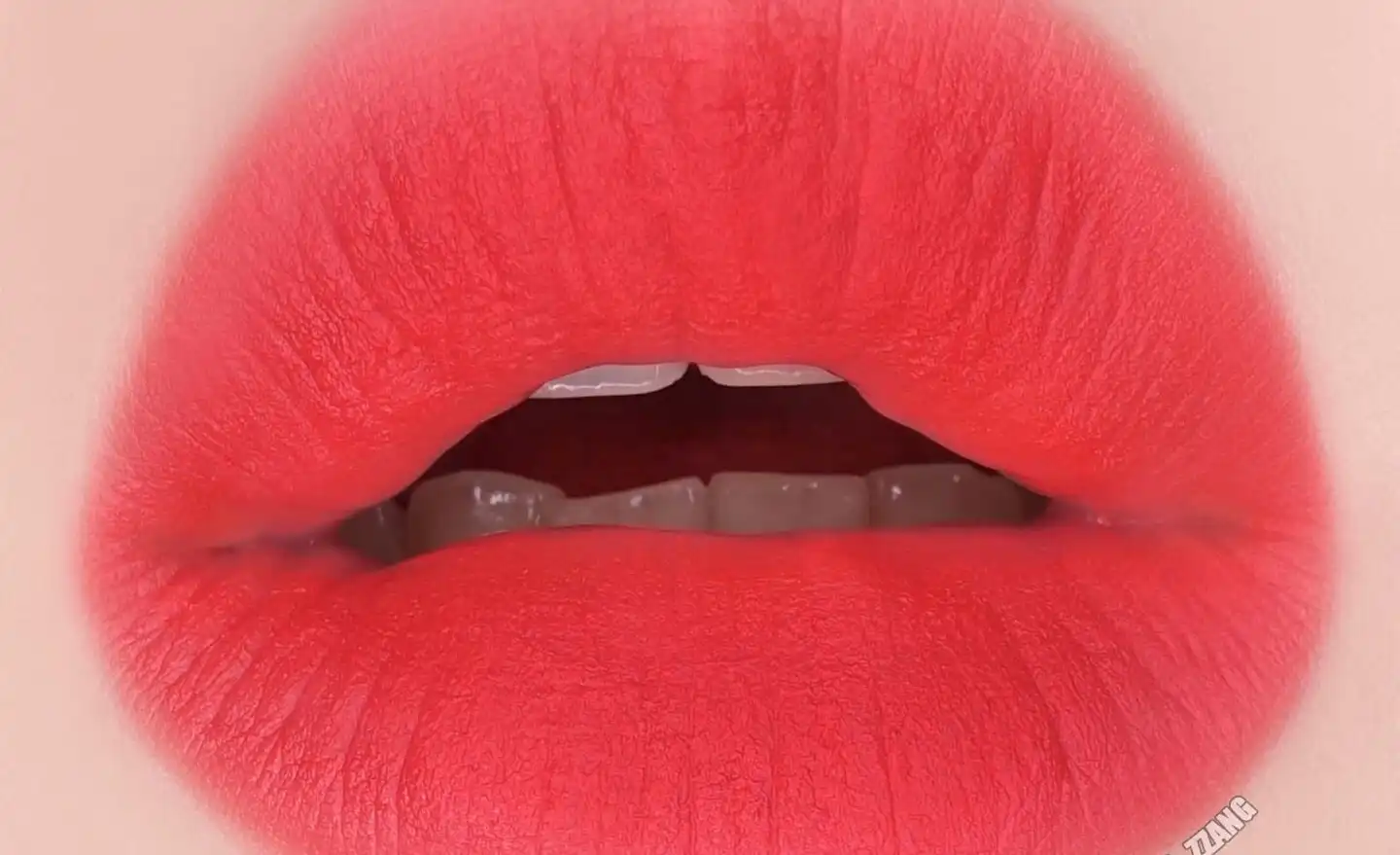 아트클래스 누아즈 립 [8호 레드 램블러]