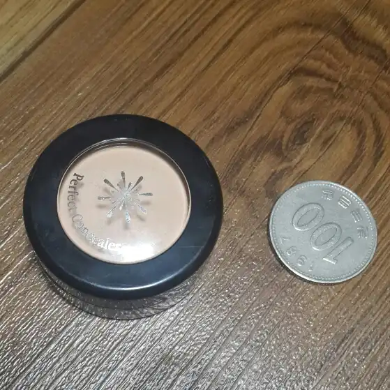 [더 스타일] 퍼펙트 컨실러 (라이트 베이지)